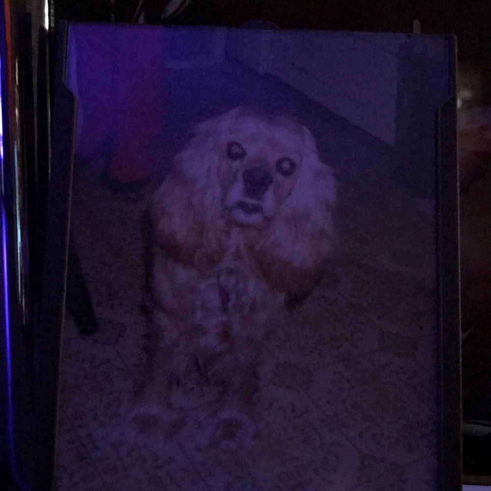 Meet your Posher, Linda